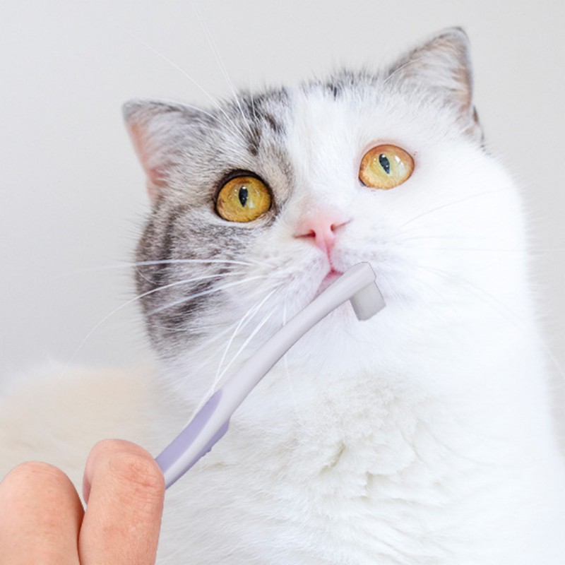 Hondentandenborstel Hondentand - Teeth Whitening Brush recensie en prijs