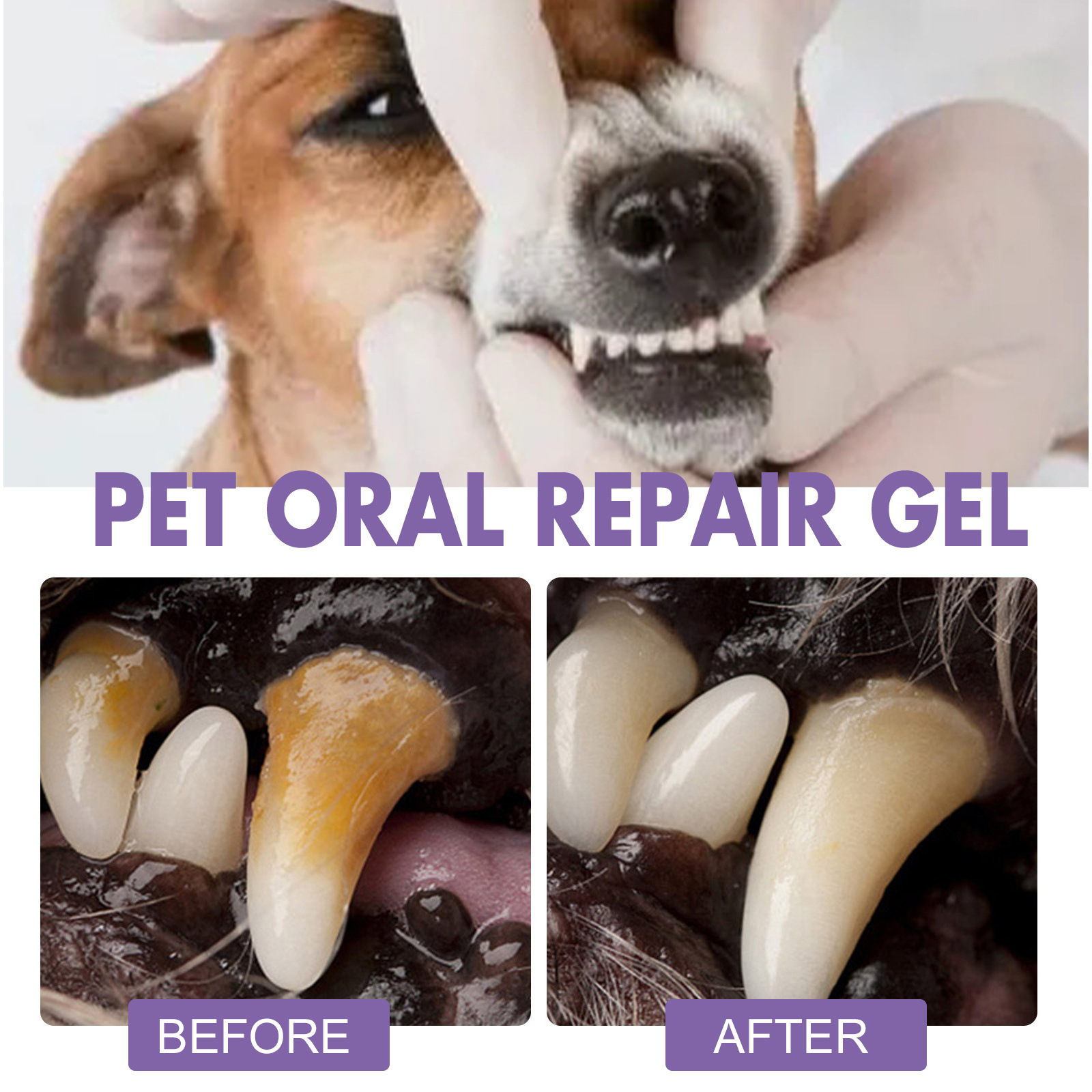 Huisdier Orale Reparatie Gel P - Teeth Whitening Results recensie en prijs